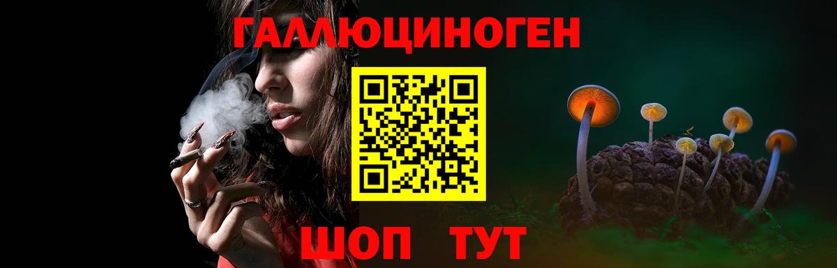 Псилоцибиновые грибы Cubensis  Галлюциногенные грибы Cubensis  купить закладку  Михайловск  Вход с VPN 